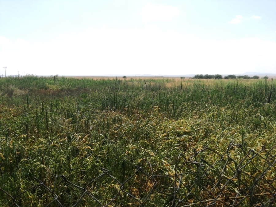 Commercial Property for Sale in Bloemfontein Rural Free State